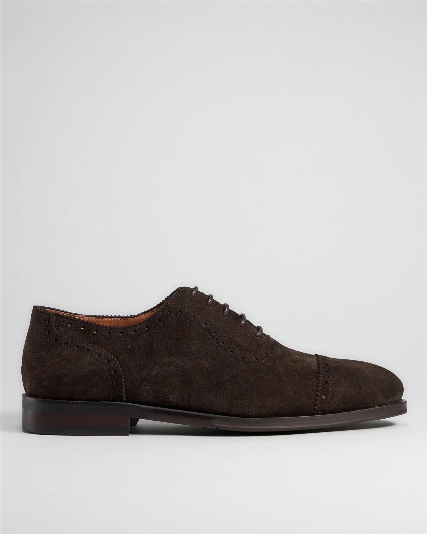 1031 Brouge Oxford shoe- Dk brown suede