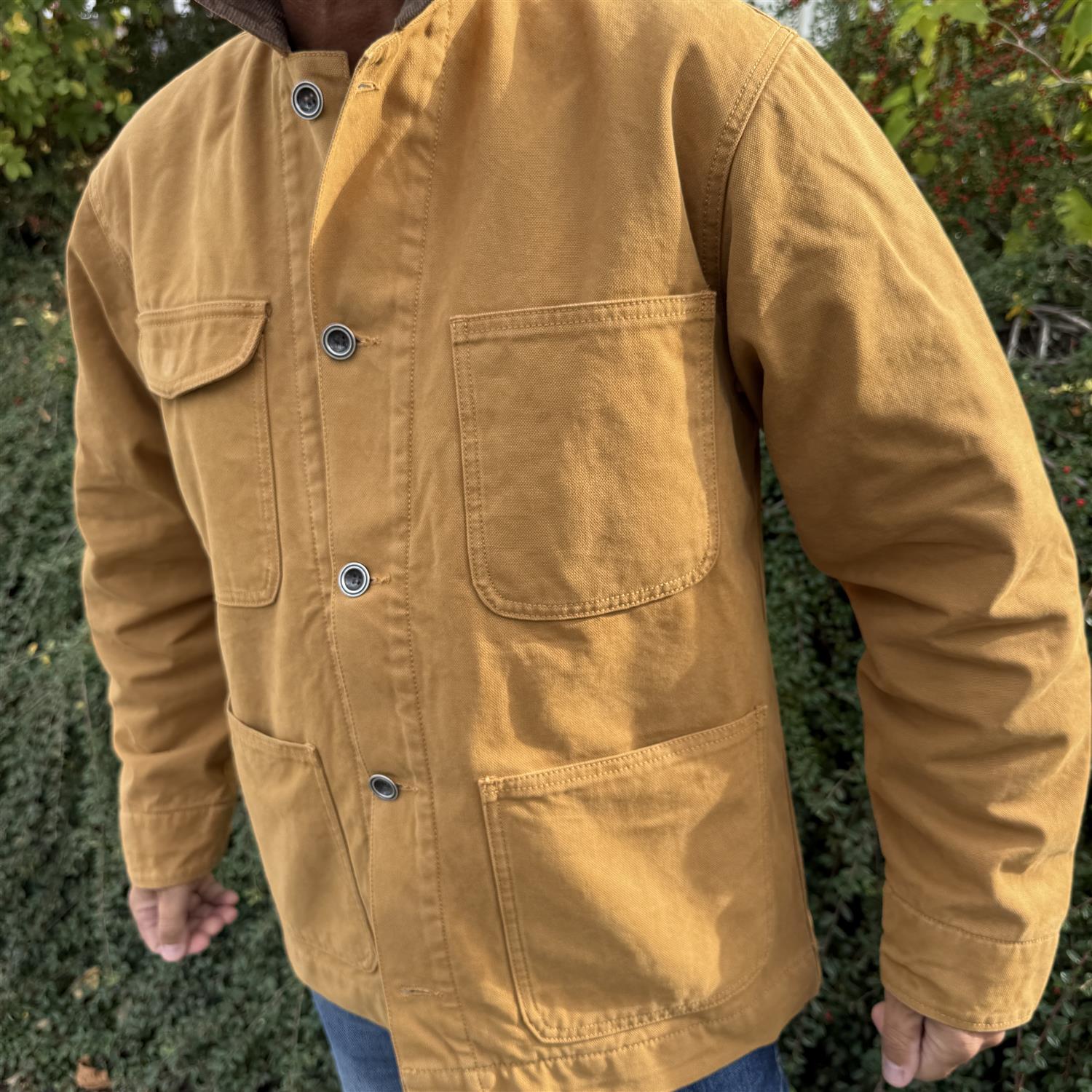 Iowa - Duck brown