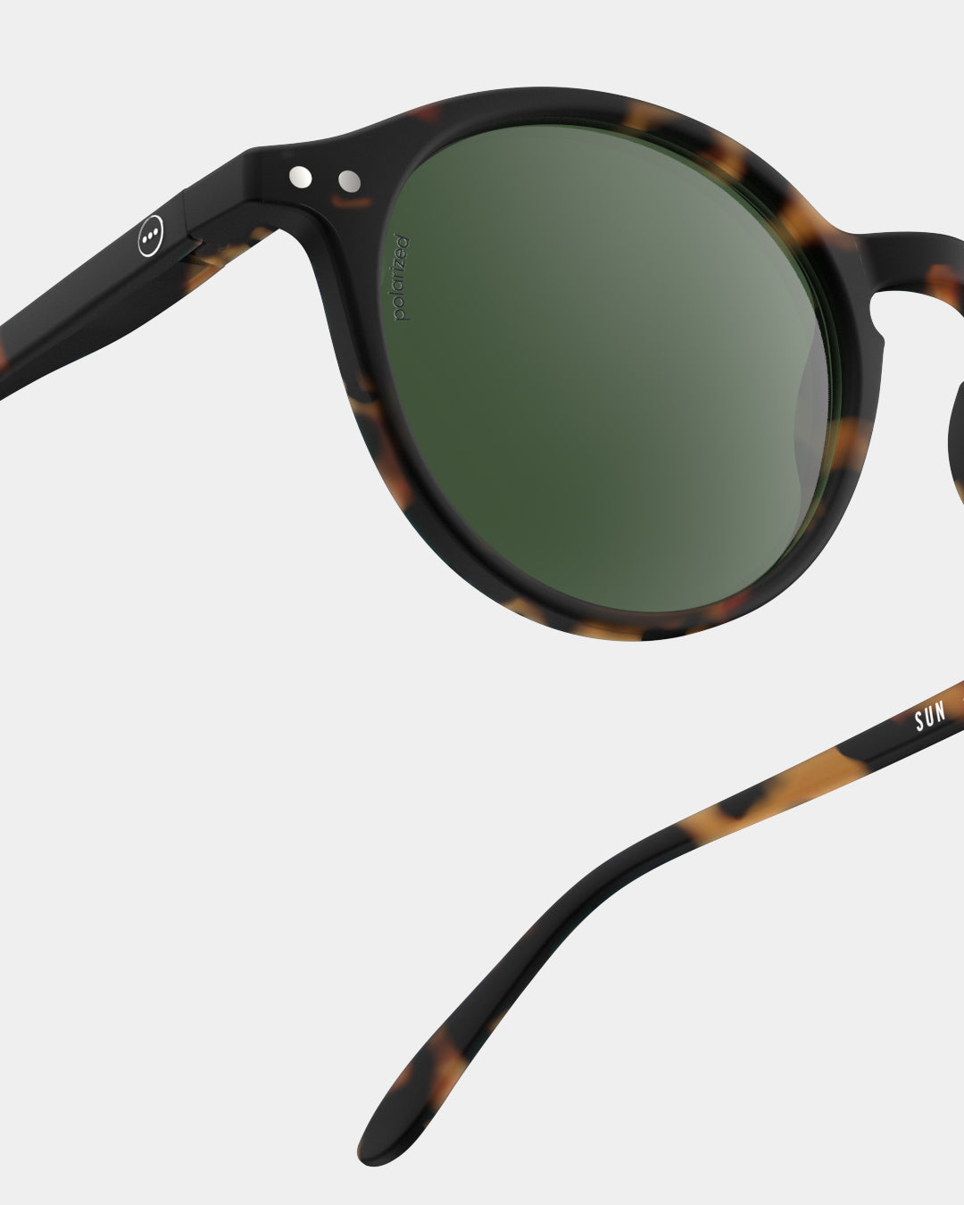 Sun #D Polarized - Tortoise